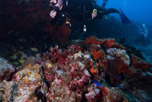 Bali, Amed: Wreck Diver Specialty & Kayak Adventure