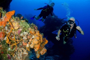 Bali, Amed: Wreck Diver Specialty & Kayak Adventure