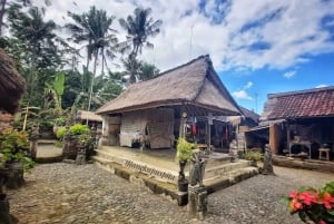 Bali: Ancient Balinese Houses and Mengening Temple Tour