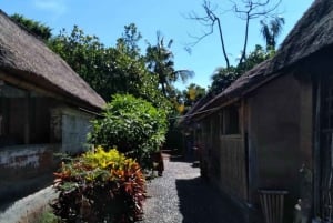 Bali: Ancient Balinese Houses and Mengening Temple Tour