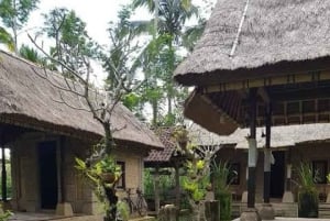 Bali: Ancient Balinese Houses and Mengening Temple Tour