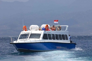 Bali and Nusa Penida: Fast Boat Transfers