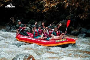 Bali: ATV adventure, Ayung River Rafting & Rice Fields