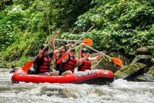 Bali: ATV adventure, Ayung River Rafting & Rice Fields