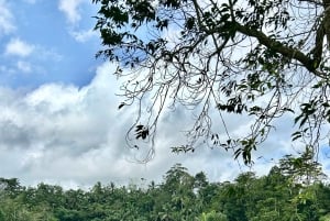 Bali: ATV adventure, Ayung River Rafting & Rice Fields