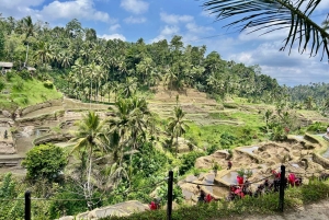 Bali: ATV adventure, Ayung River Rafting & Rice Fields