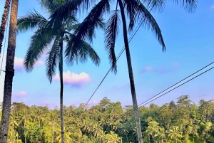 Bali: ATV adventure, Ayung River Rafting & Rice Fields