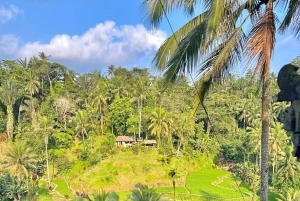 Bali: ATV adventure, Ayung River Rafting & Rice Fields