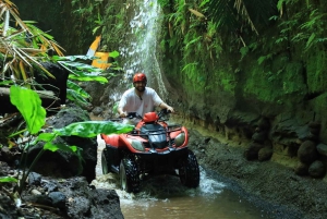 Bali: Avventura in ATV con pranzo gourmet