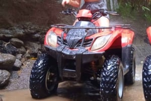 Bali: Avventura in ATV con pranzo gourmet
