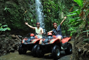 Bali: Avventura in ATV con pranzo gourmet