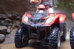 Bali: ATV Adventure Ride with Gourmet Lunch