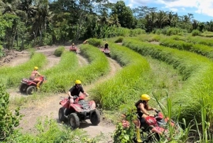 Bali: ATV- og tubing-eventyr med Beji River Adventure