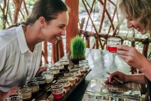 Bali: ATV, kaffeplantage, tempel og abeskov