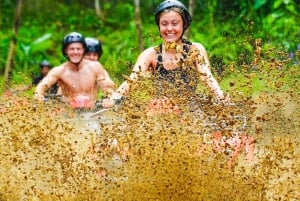 Bali: ATV, kaffeplantage, tempel og abeskov