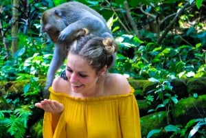 Bali: ATV, kaffeplantage, tempel og abeskov