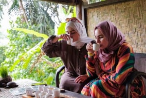 Bali: ATV, kaffeplantage, tempel og abeskov