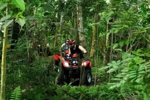 Bali ATV Expedition: Dżungla, jaskinie, ryż, tunele, wodospad