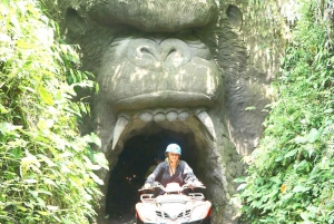 Expedición en quad por Bali: Selva, Cuevas, Arroz, Túneles, Cascada