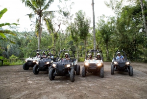 Bali: ATV Jungle Buggy Adventure