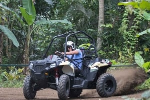 Bali: ATV Mason Jungle Buggy Adventure with Lunch & Transfer