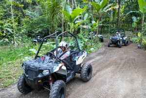 Bali: ATV Mason Jungle Buggy Adventure with Lunch & Transfer