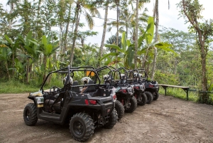 Bali: ATV Mason Jungle Buggy Adventure with Lunch & Transfer