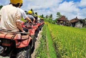 Bali: mönkijäseikkailu 250 tai 300 cm³ moottorilla Ubudissa
