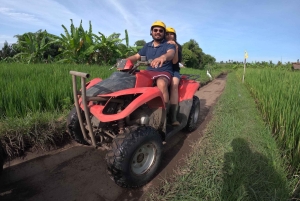 Bali: ATV-fyrhjuling med lunch