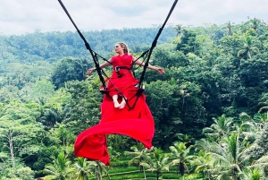 Bali: Quad ATV, małpi las, huśtawka w dżungli z lunchem