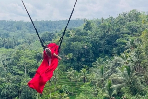 Bali: Quad ATV, małpi las, huśtawka w dżungli z lunchem