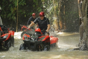 Bali: Quad ATV, małpi las, huśtawka w dżungli z lunchem