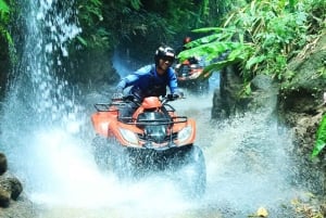 Bali: ATV Quad Bike, Monkey Forest, Jungle Swing with Lunch