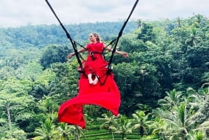 Bali: ATV Quad Bike, Monkey Forest, Jungle Swing with Lunch