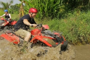 Bali: ATV Quad Bike, Monkey Forest, Jungle Swing with Lunch