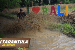 Bali : Aventure en quad, rafting et balançoire avec déjeuner