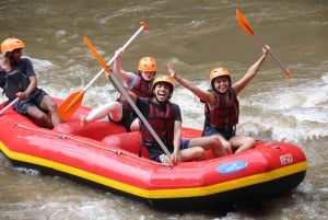 Bali: quad, rafting, tirolina, columpio y sky bike en los arrozales de Ubud