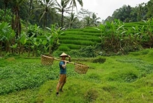 Bali: quad, rafting, tirolina, columpio y sky bike en los arrozales de Ubud