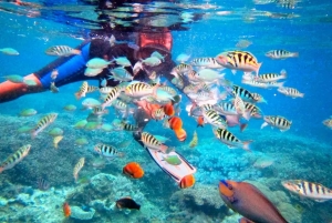 Bali: ATV Ride and Snorkeling Tour with Hotel Transfer
