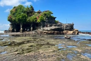 Bali ATV Ride and Tanah Lot Sunset Tour