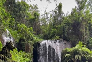 Bali: Paseo en quad de 350 cc y ritual de purificación Taman Beji Griya