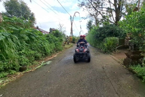 Bali: ATV Ride with Waterfall and Jungle Trails
