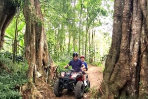 Bali: ATV Ride with Waterfall and Jungle Trails