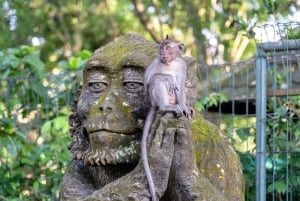 Bali: ATV, Water Rafting, and Monkey Forest Tour