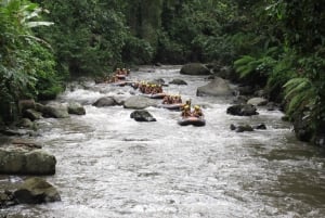 Bali: ATV, Water Rafting, and Monkey Forest Tour