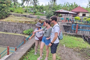 Bali: Autentisk byvandring med lokal lunch