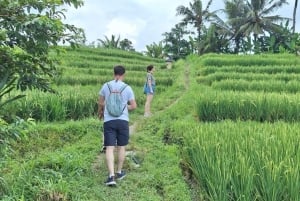 Bali: Autentisk byvandring med lokal lunch