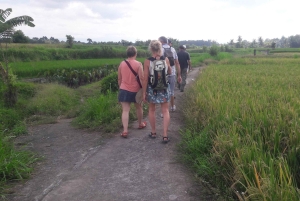 Bali: Autentisk byvandring med lokal lunch