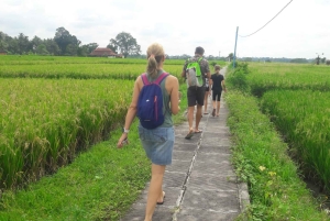 Bali: Autentisk byvandring med lokal lunch