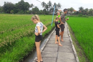Bali: Autentisk byvandring med lokal lunch